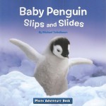 Baby Penguin Slips and Slides